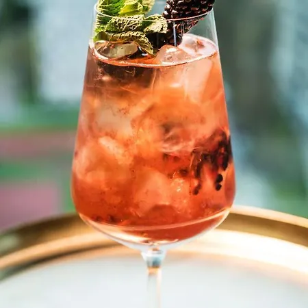 林德纳中央美术馆酒店 酒店