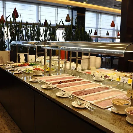 林德纳中央美术馆酒店 酒店 布拉迪斯拉发